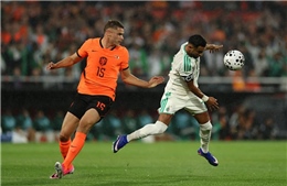 A night in Rotterdam ignites hope for Algerian football