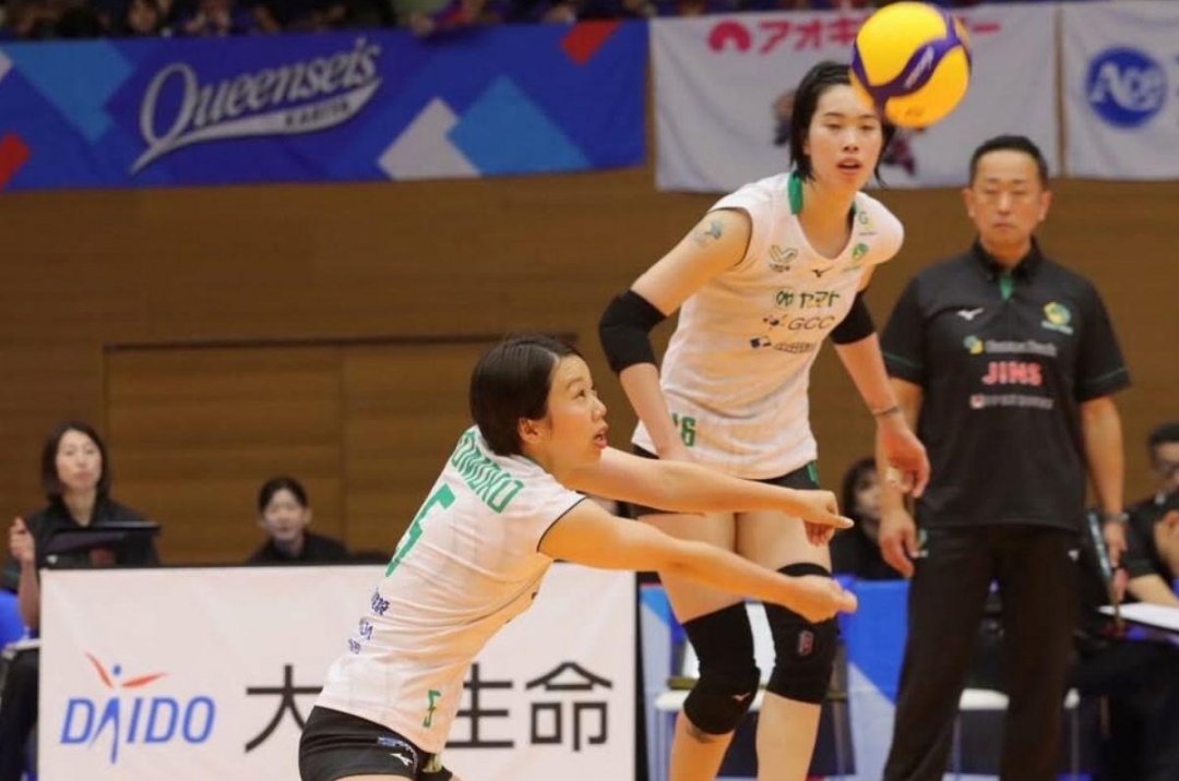Live streaming link for volleyball today 13/10