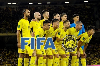 Malaysia 'was aware in advance' that CAS would postpone the ruling on the naturalization case.