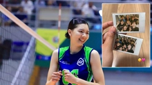 Live streaming links for the 2025 National Volleyball Championship Phase 2 today, October 7th