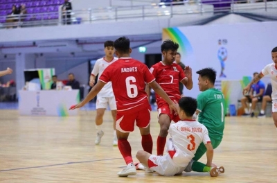 Southeast Asian fans erupted as Vietnam fell 2-3 to Indonesia