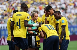 Experts agree to disallow Germany's opening goal