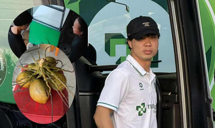 Công Phượng và hành động 'tặng dừa' cực đáng yêu đang viral khắp MXH