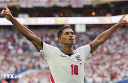 England - France: A 'Procedural' Match Worth a Billion Dollars