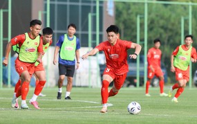 Hot Vietnamese football news today 4/7: Vietnam national team assembles squad; Ninh Binh FC announces two new signings