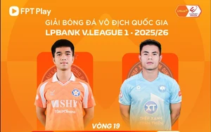 Live football streaming link for SHB Da Nang vs Thep Xanh Nam Dinh at 18:00 today, V-League round 19