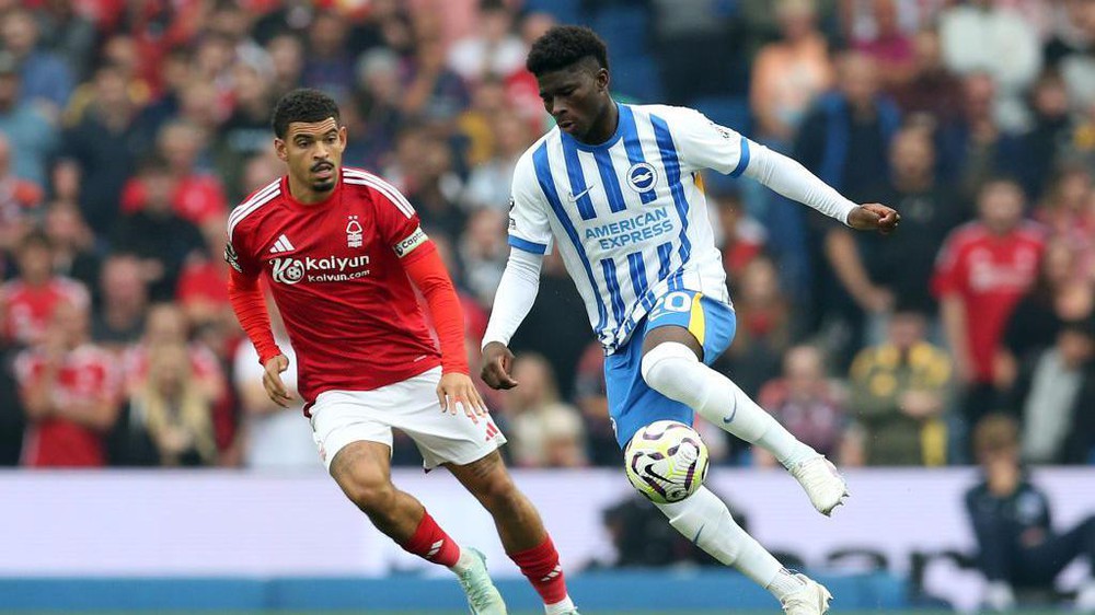 Nhận định, soi tỷ lệ Brighton vs Nottingham Forest 21h00 ngày 01/03, Ngoại hạng Anh - Ảnh 1. Nhận định, soi tỷ lệ Brighton vs Nottingham Forest 21h00 ngày 01/03, Ngoại hạng Anh - Ảnh 1.