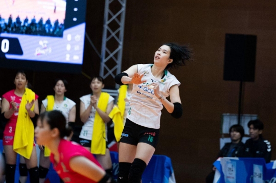 Live volleyball: Gunma Green Wings vs Osaka Marvelous, 11:05 AM today, February 8