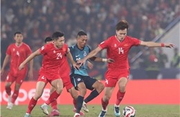 Vietnam - Singapore: 'Reigniting the Fire' at My Dinh