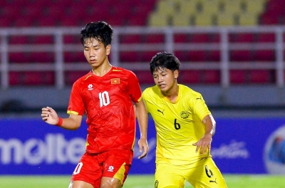 Malaysian Fans: 'Don't go to Europe or Japan, learn from Vietnam'