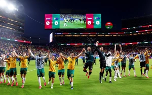 HLV Harry Kewell: 'Australia needs collective strength to dream of advancing far in the 2026 World Cup'