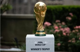 World Cup 2026: The Return of the 'Elephants'