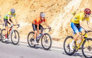 The 'Foreign Athlete Fever' in Vietnamese Sports: Premium Fuel and the Sustainable Development Challenge