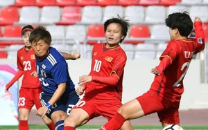 Head-to-History of Vietnam Women's National Team vs Japan Women's National Team