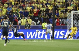 World Cup 2026: The Gold-Green Machine Gets Rolling