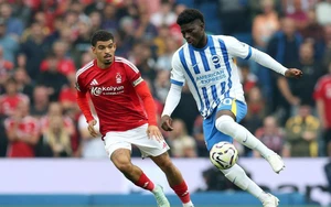 Analysis and odds for Brighton vs Nottingham Forest, 21:00 on 01/03, Premier League