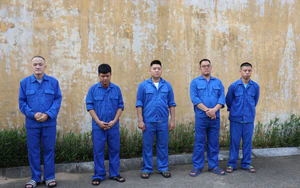 World Cup 2026: Ninh Bình dismantles football betting ring with transactions exceeding 710 billion VND