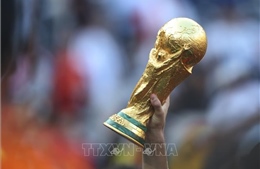 World Cup 2026: Spanish People Overjoyed on the Day of Their Triumph