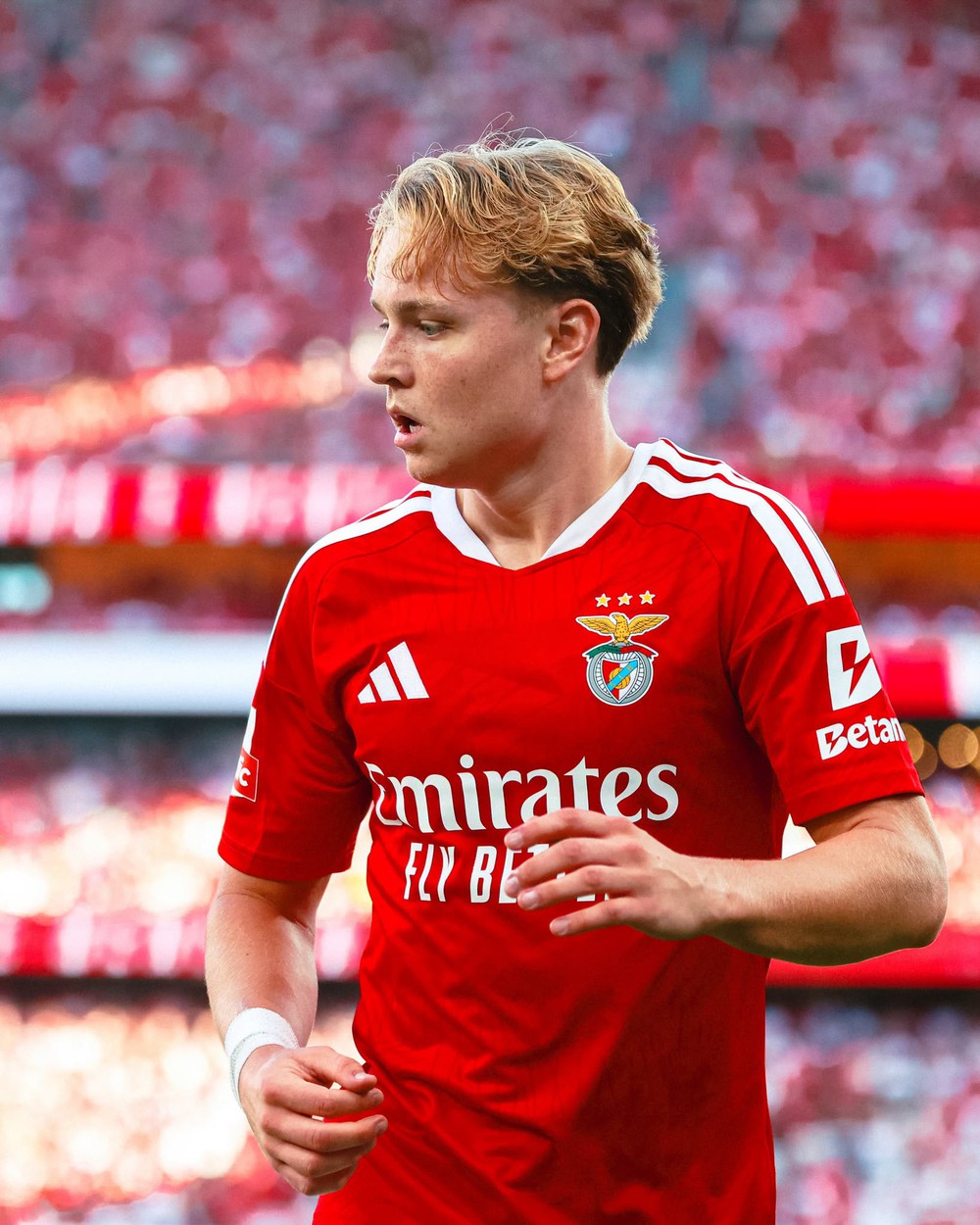 Nhận định Milan vs Benfica 02h00 ngày 17/6, vòng phân hạng Europa League - Ảnh 2. Nhận định Milan vs Benfica 02h00 ngày 17/6, vòng phân hạng Europa League - Ảnh 2.