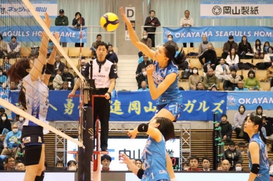 Live volleyball match: Okayama Seagulls vs NEC Red Rockets, 11:05 AM today, 21/2