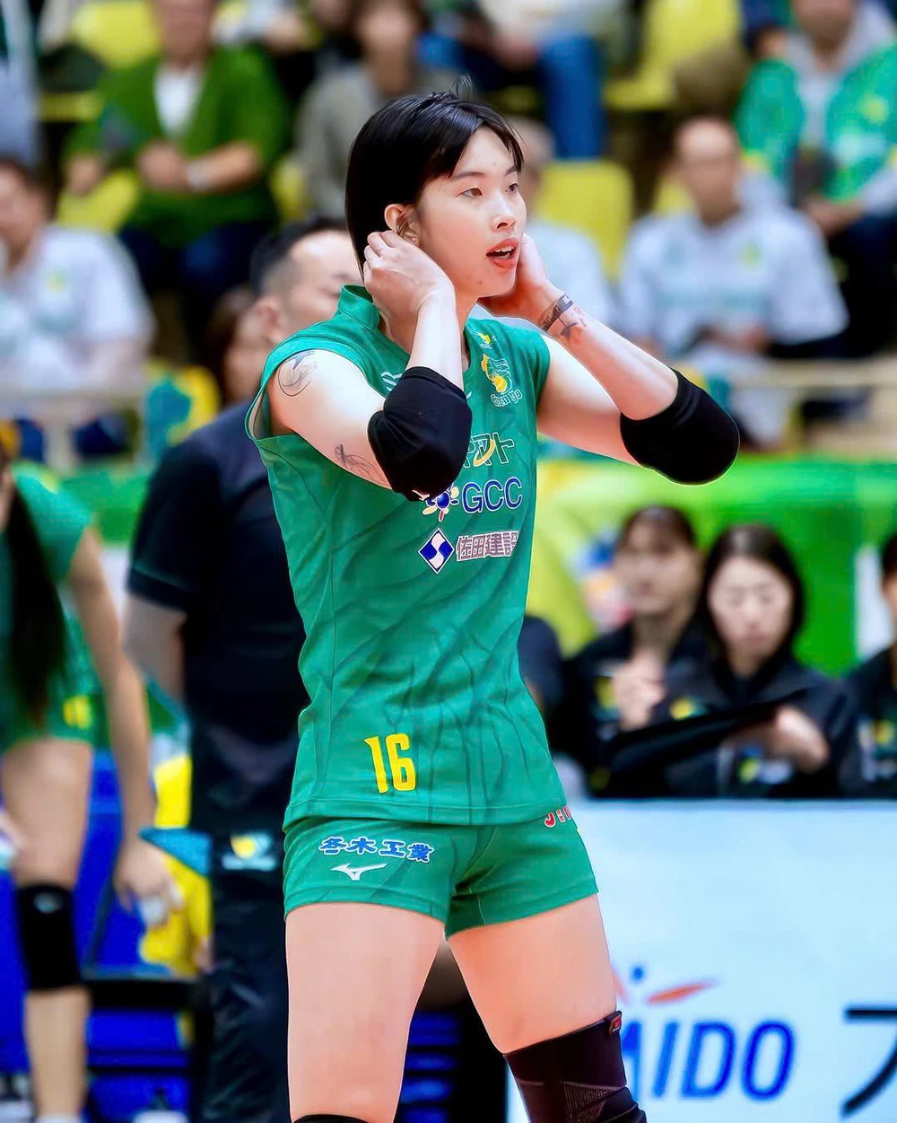 Tin nóng thể thao sáng 20/3: Trần Thị Thanh Thúy bước vào giai đoạn quan trọng ở Nhật Bản - Ảnh 1. Tin nóng thể thao sáng 20/3: Trần Thị Thanh Thúy bước vào giai đoạn quan trọng ở Nhật Bản - Ảnh 1.