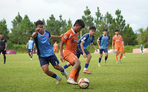 U17全國錦標賽決賽 – 紅龍盃2026:SHB峴港與順化晉級準決賽