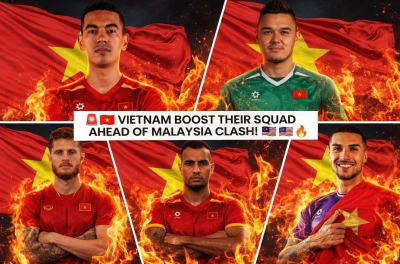 Southeast Asian fans are amazed by Vietnam's 5 naturalized players