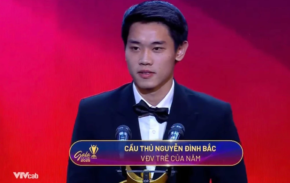 Bộ sưu tập danh hiệu cá nhân 'khủng' của Đình Bắc - Ảnh 3.