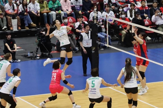 Today's volleyball match schedule for March 7