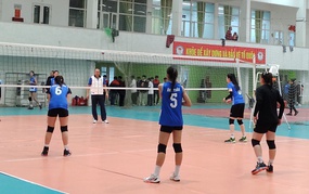 Live streaming links for the Hoa Lu Cup volleyball matches today, March 18
