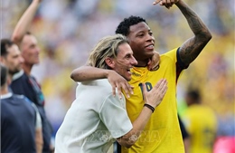 The World Cup's harshness has cost many head coaches their jobs.