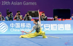 Dương Thúy Vi wins gold at the 2026 World Taolu Cup