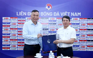 VFF and the Criminal Police Department strengthen coordination to prevent and combat corruption in football