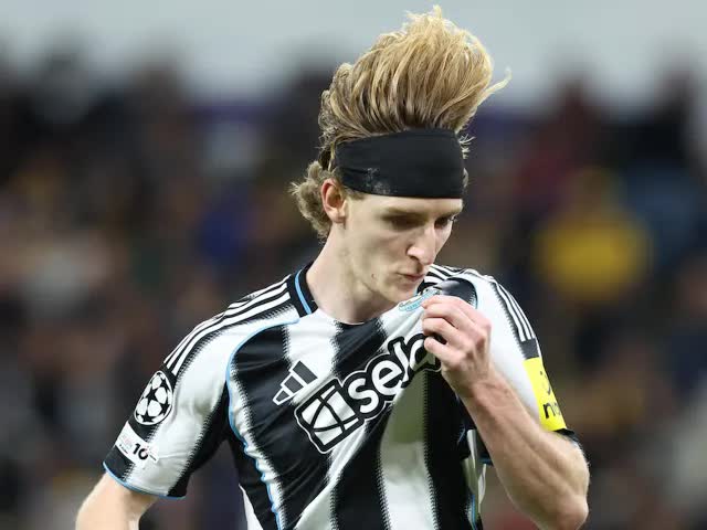 Nhận định, soi tỷ lệ Newcastle vs Everton 22h00 ngày 28/02, Ngoại hạng Anh - Ảnh 1.