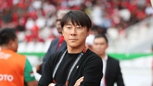 Shin Tae-yong’s mission if he returns: To support Indonesia’s U17 team at the World Cup