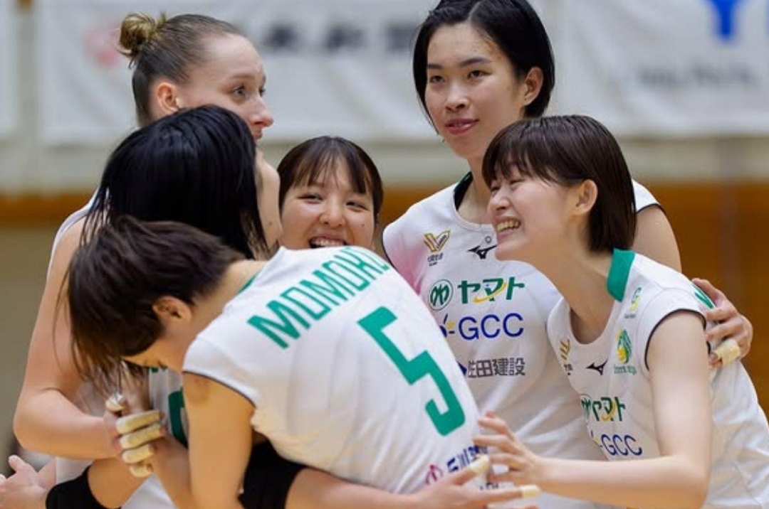 Volleyball match schedule for today, January 11