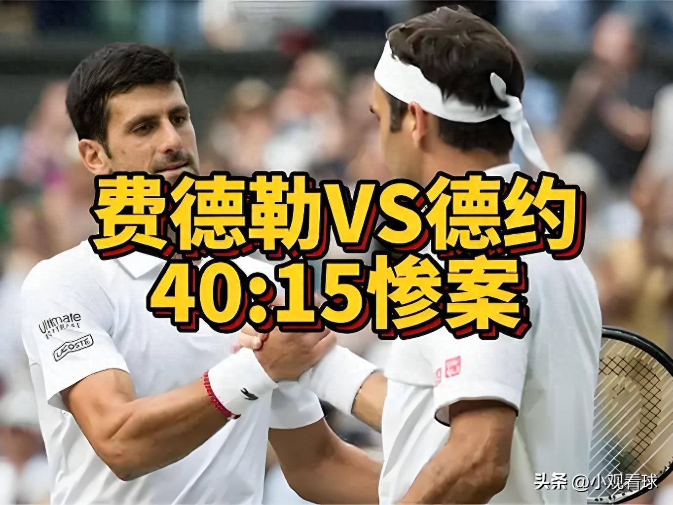 As fellow veterans of the tennis world, how do the careers of Djokovic and Federer differ despite being contemporaries?