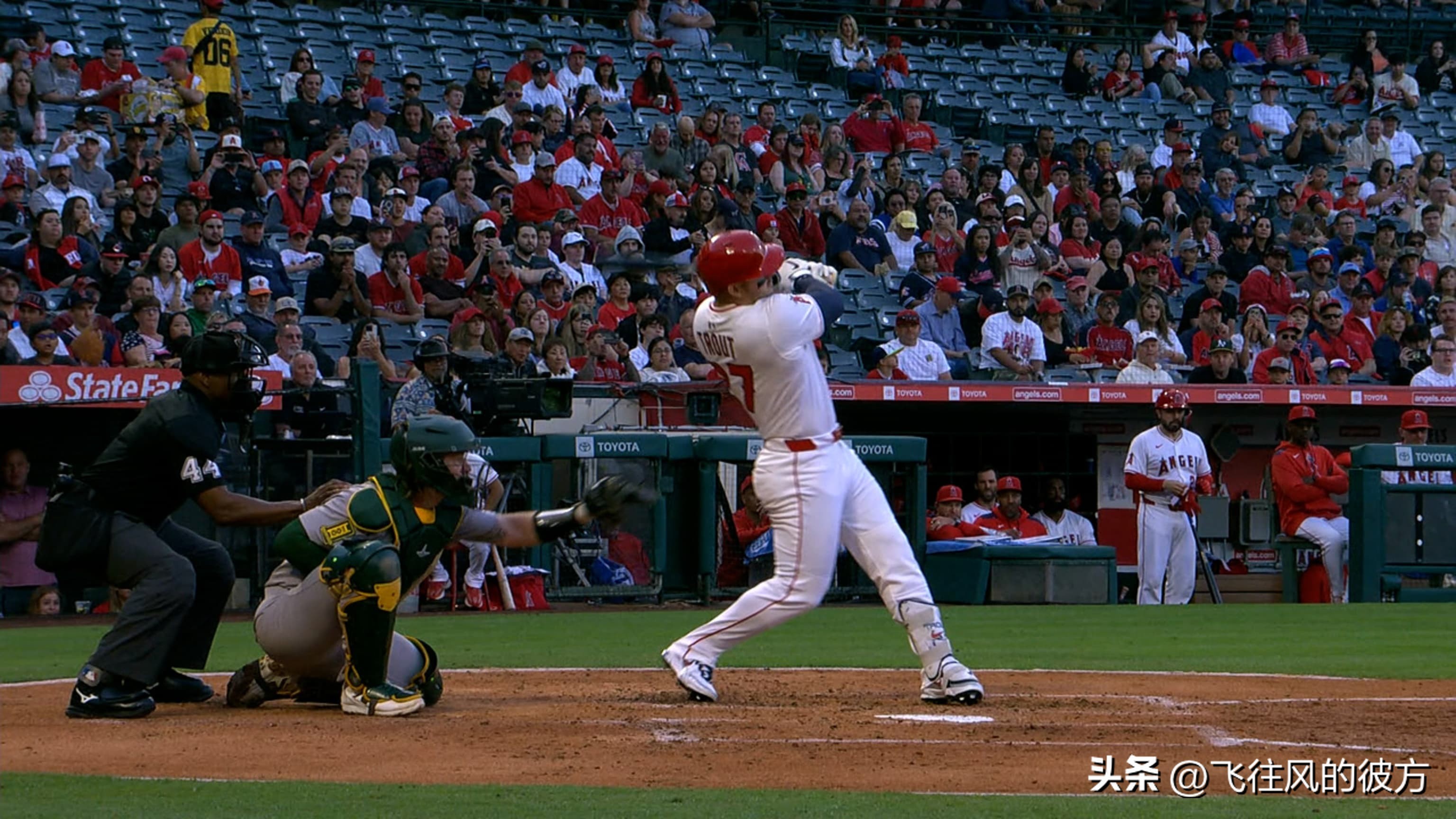 Angel Trout Trout Trout has put back on a hold to return to the outfield and will continue to serve as designated strikers