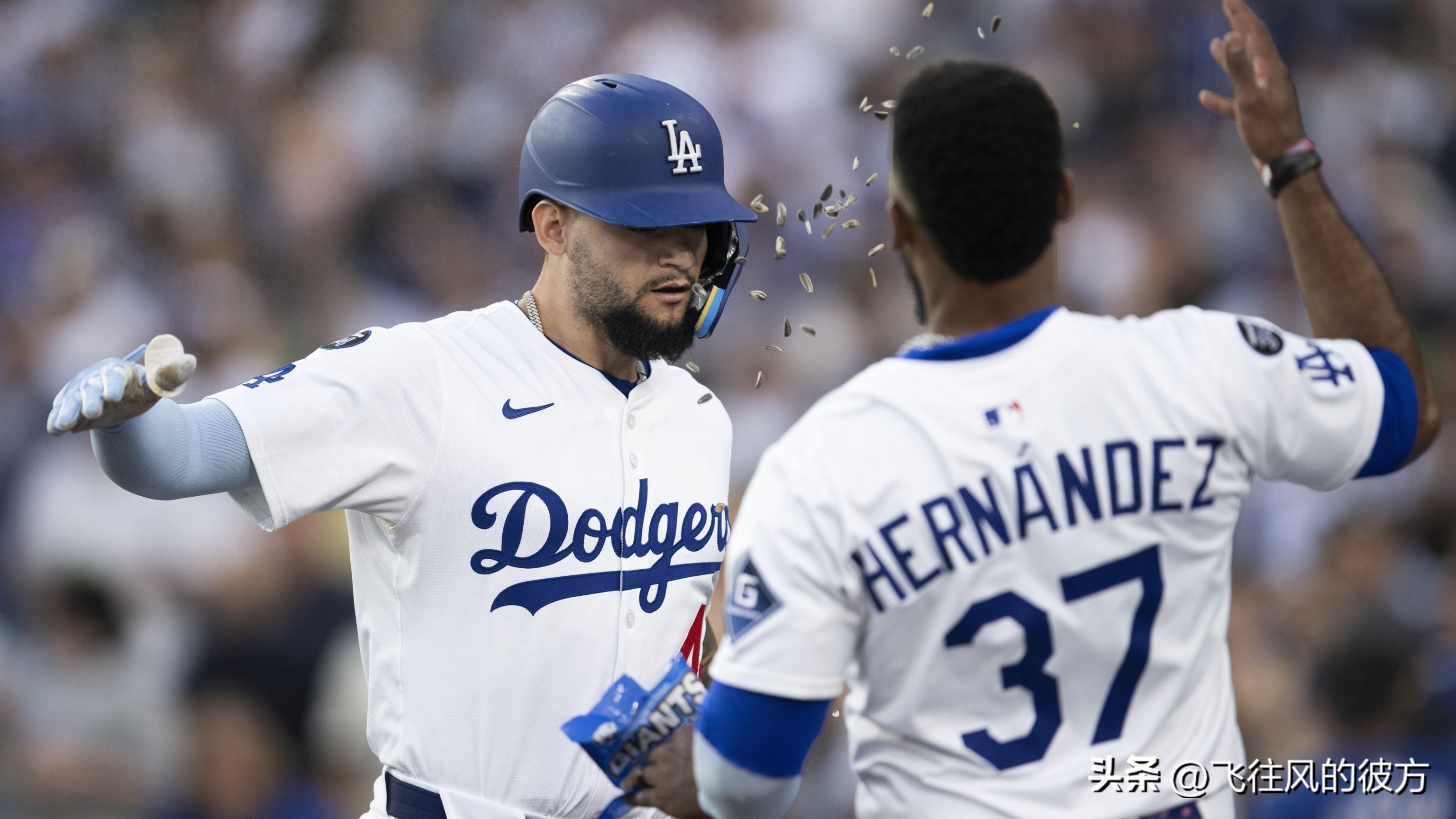 Shohei Ohtani 4-0 Pachs 4-4 Double Shot Dodge Rick Padres