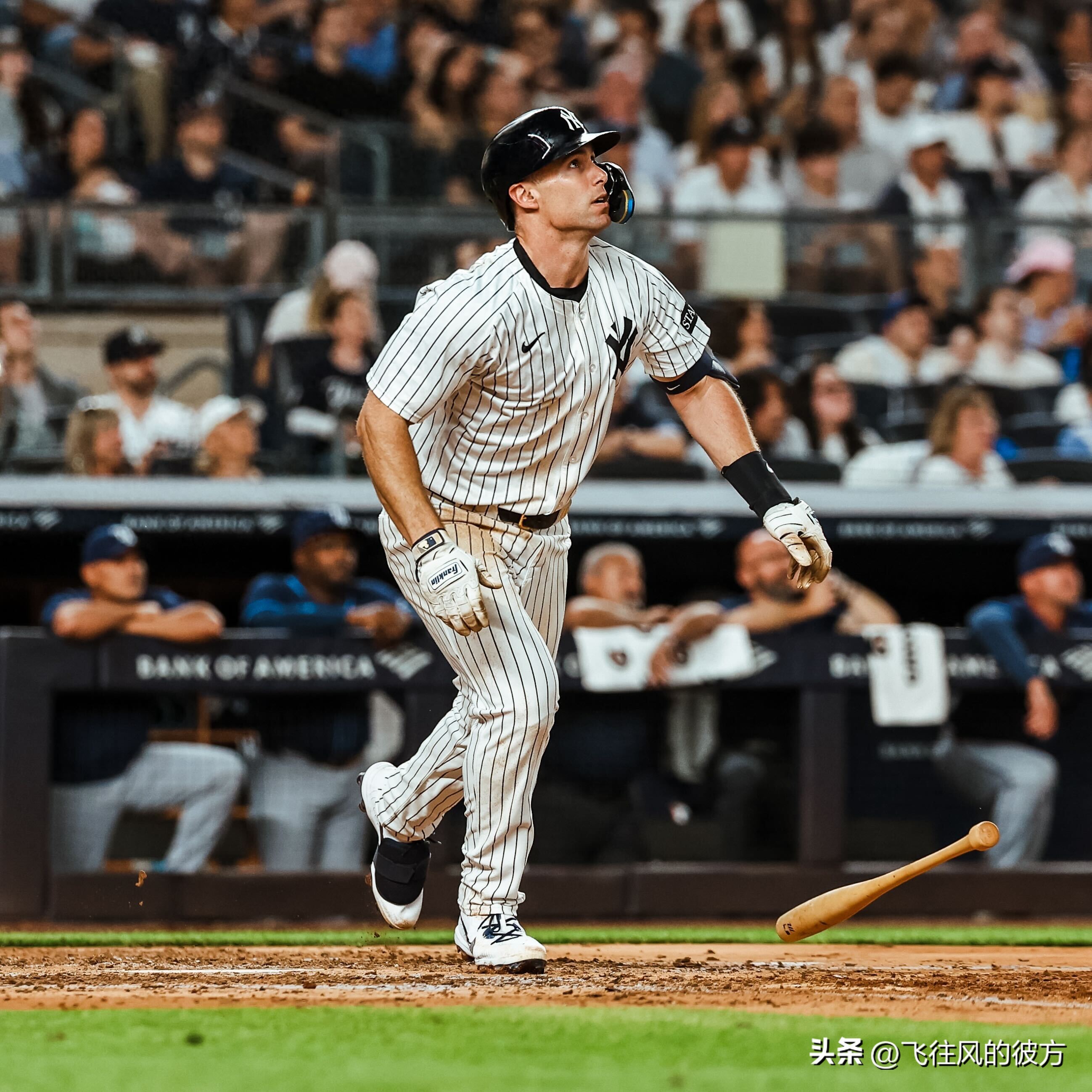 Goldschmidt bombarded and Fried blockade Yankee Rick Ray