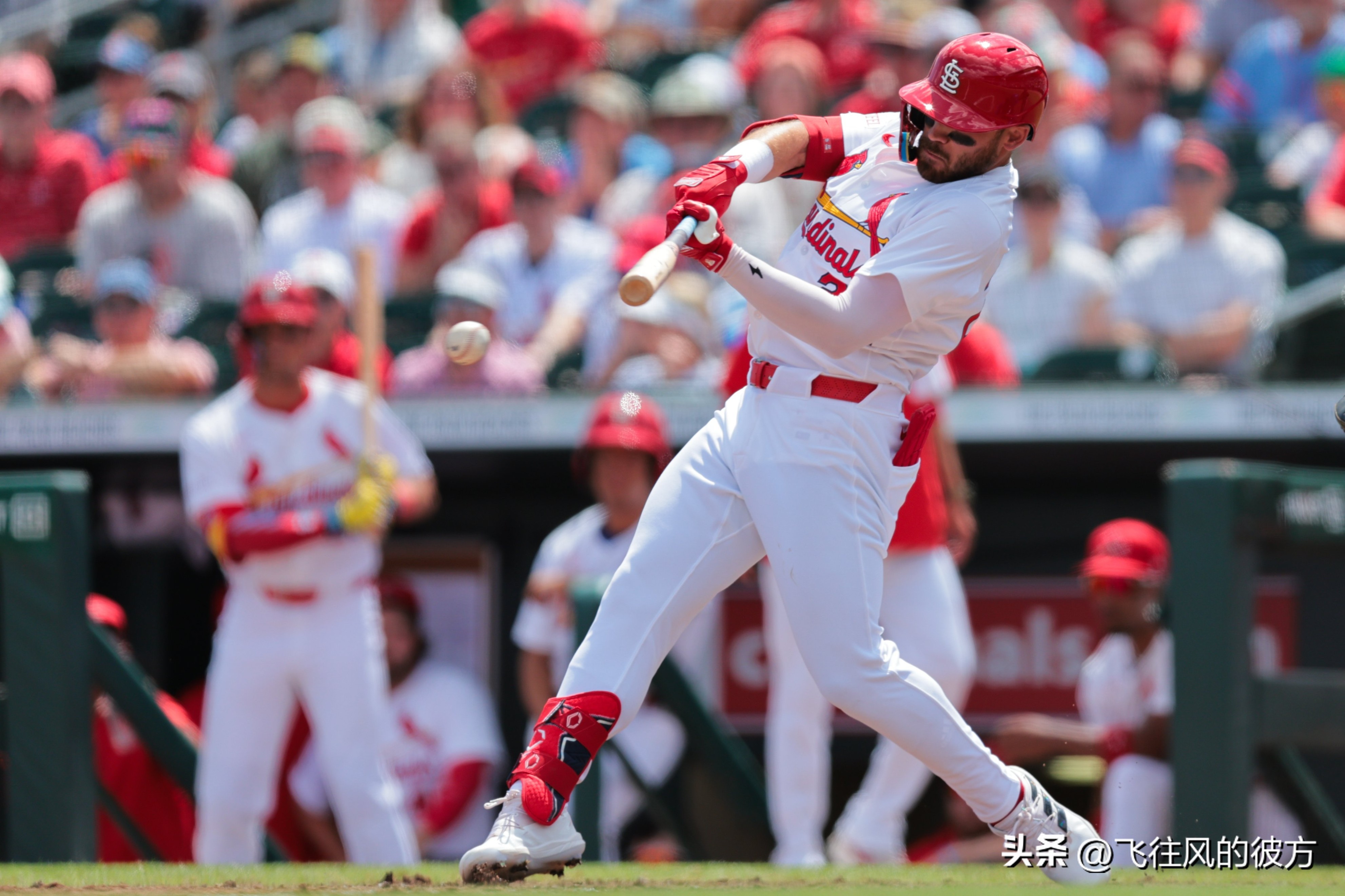 The New York Yankees strengthen their outfield by signing defensive outfielder Michael Siani, who was designated for assignment by the Dodgers.