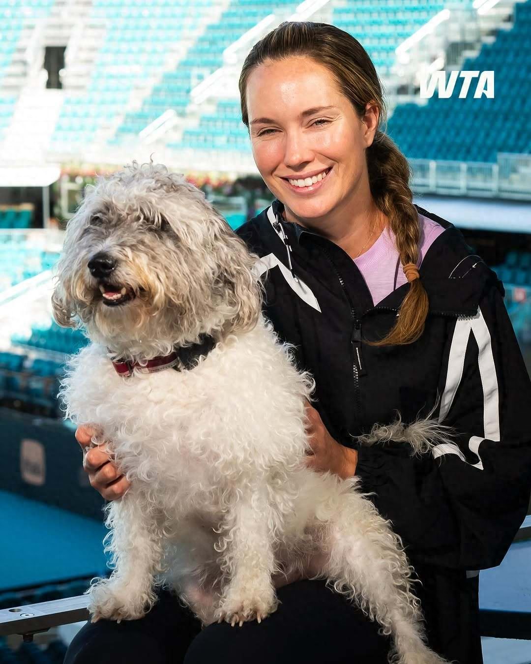 Collins' "Ugly Dog" Controversy: From Tennis Champions to Metaphors for the Ages of Ugly Culture