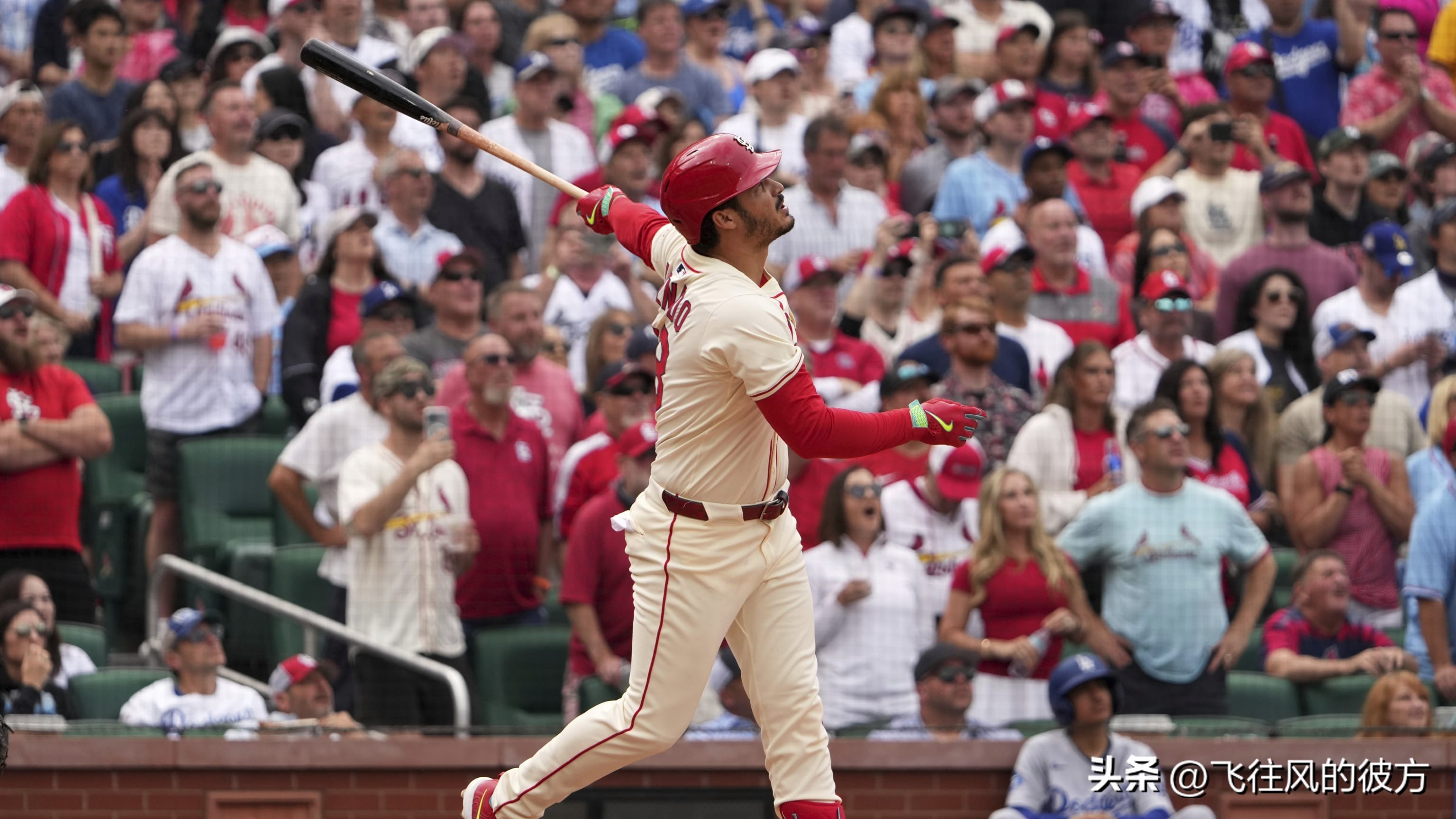 Shohei Ohtani ran back to tie the score, but Arenal played the hero in the ninth inning, and the Cardinals hit the Dodgers again