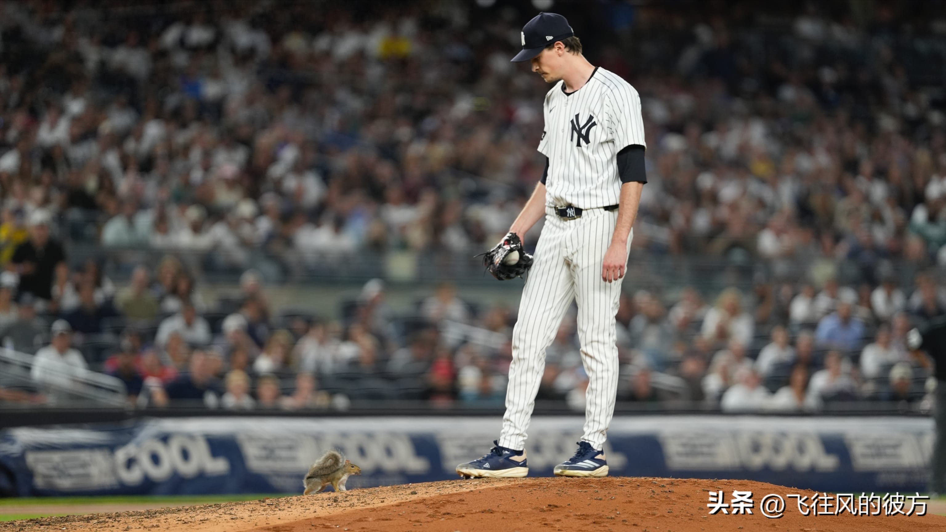 After Fried exited without allowing a run over six innings, the Yankees bullpen faltered, leading to a shutout loss against the Red Sox and extending their losing streak in this matchup to seven games.
