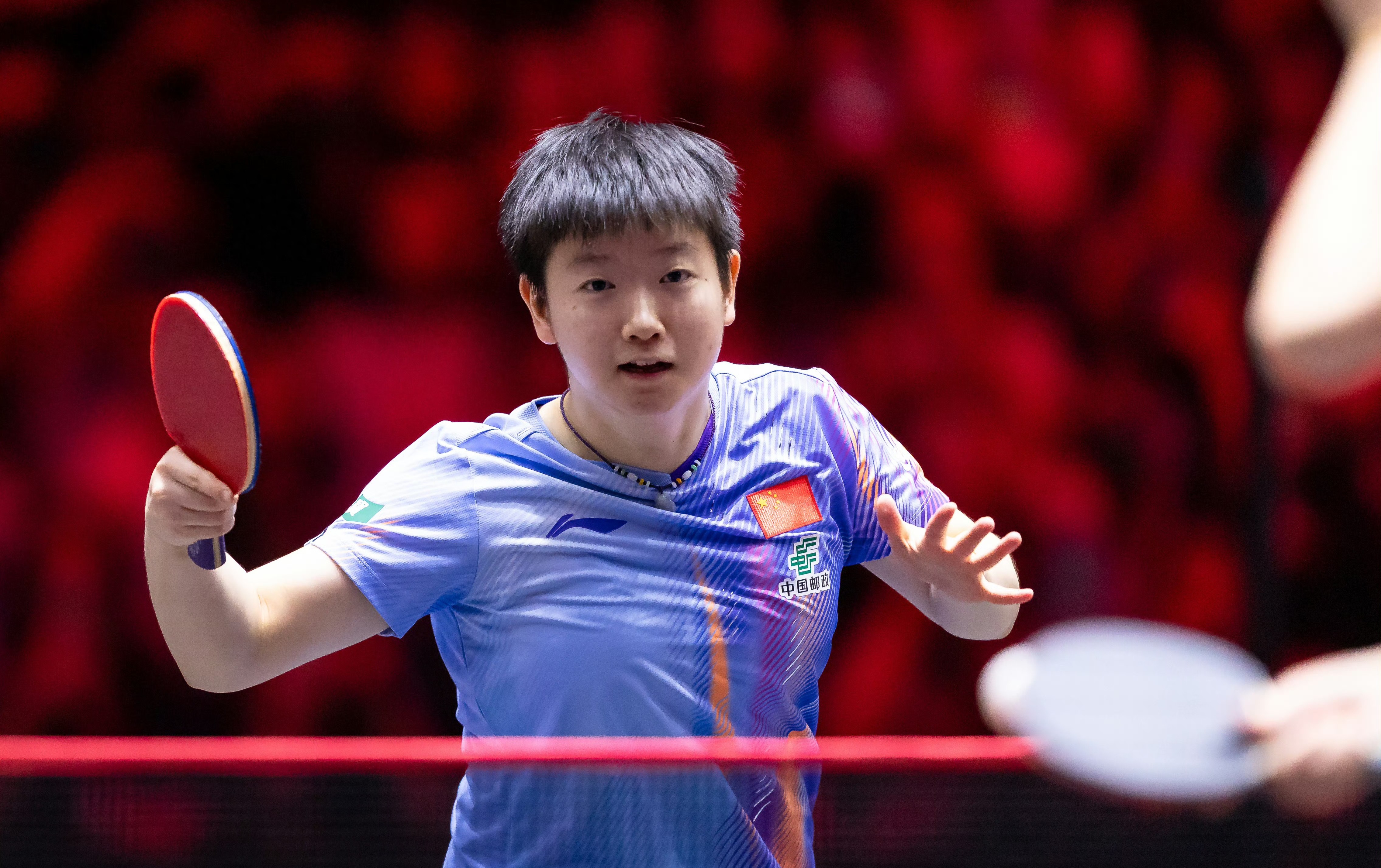 Table Tennis WTT Chongqing Championship Tomorrow (March 12) Schedule: Sun Yingsha and Liang Jingkun to Play, Live on CCTV-5.