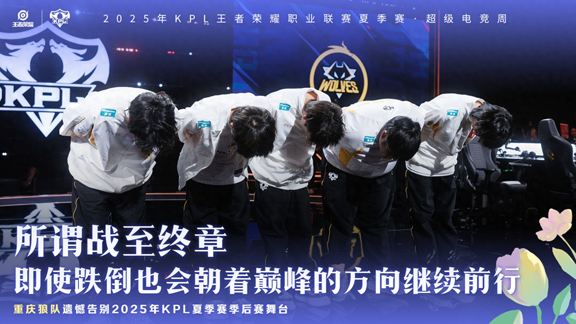 Looking back at the match between Wolves and WB, it can be summed up in two words: Wolves are once again the &#34;Yang Bailao&#34; of the annual finals.