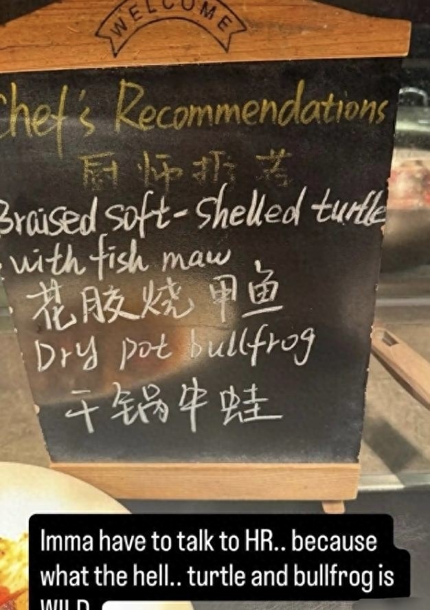 Townsend once again excuses her inappropriate remarks during last year's China season.