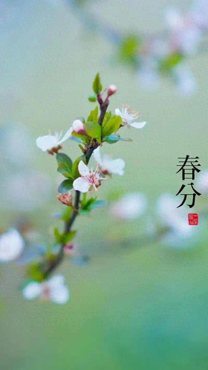 From Bai Yan to Cui Jie, defeated again and again, Chinese players missed the Chinese season finals for the first time