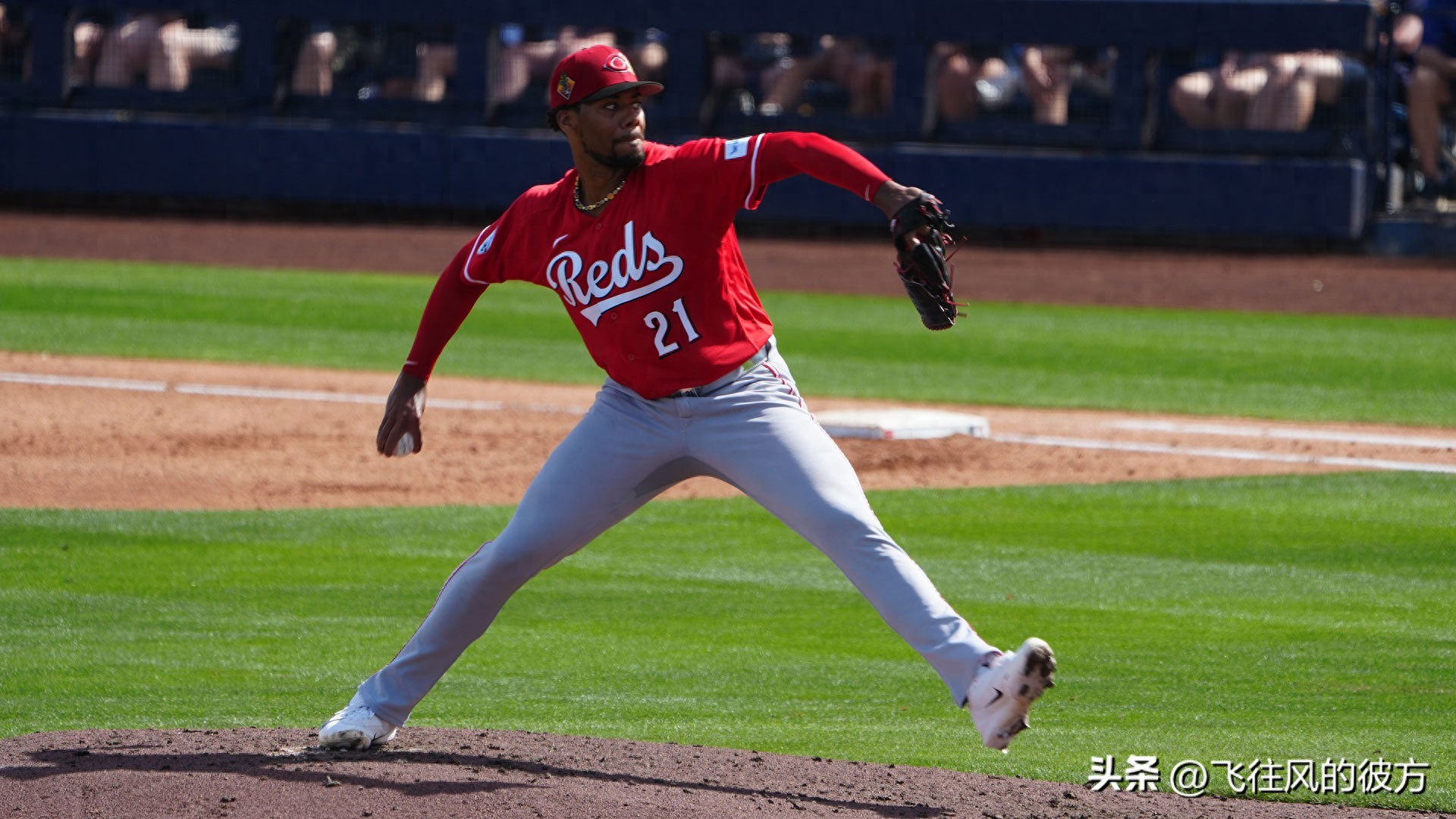The Reds' ace fireball pitcher Greene will undergo surgery to remove bone spurs from his right elbow, expected to be sidelined until July.