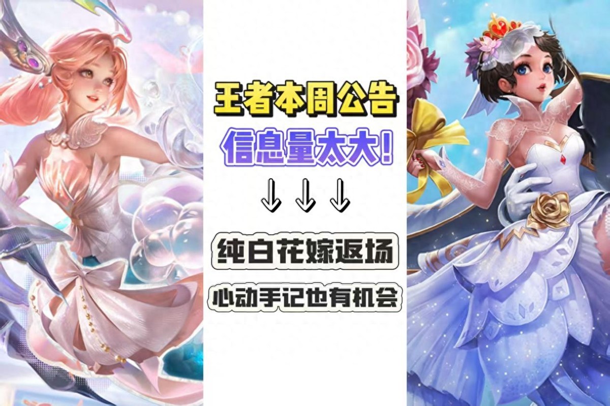 The amount of information in this week's announcement of the king is too large! Pure white flowers to marry or return? There is also a great opportunity for mental memorization